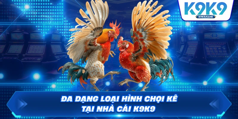 Đa dạng loại hình chọi kê tại nhà cái K9K9